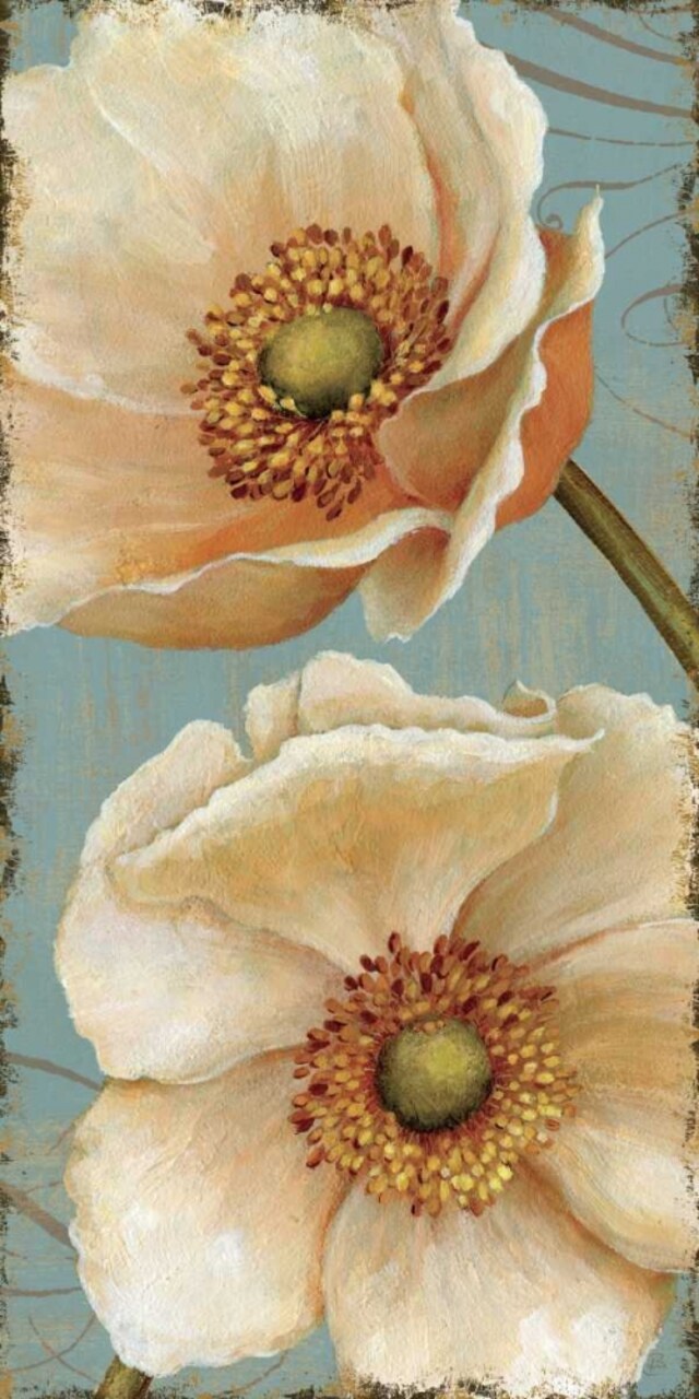 Windflower I Poster Print by Daphne Brissonnet - Item # VARPDX1206